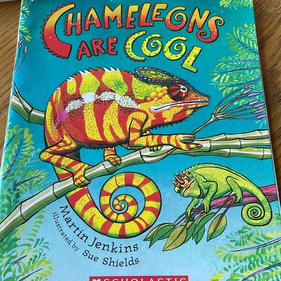 6 Children Books (1st-2nd Grade) - Picture 6 of 7